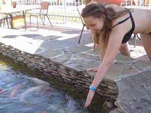 форель в аквапарке